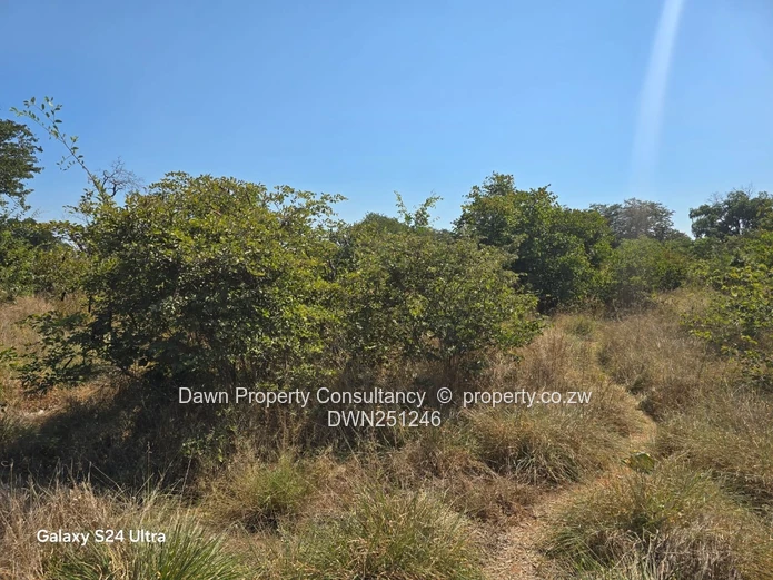 Land for sale in Victoria Falls