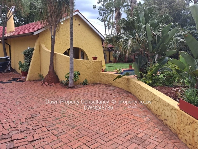 Mt Pleasant Golden Oldie 