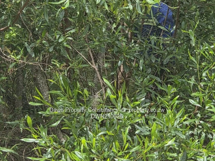 Residential stand for sale in the esteemed Ruwa Country Club