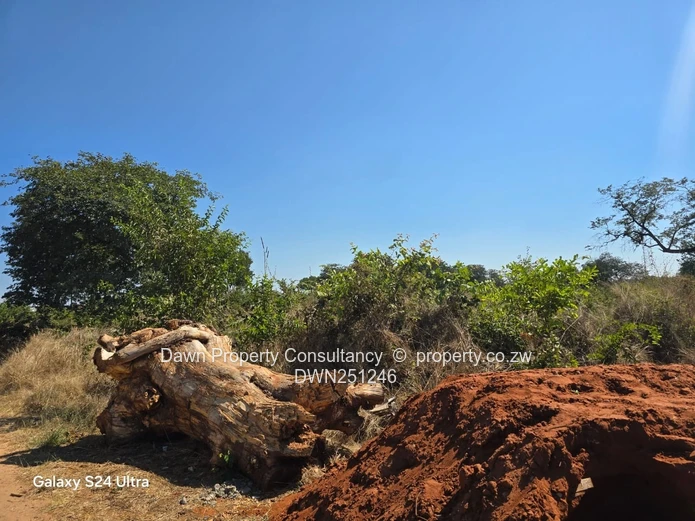 Land for sale in Victoria Falls